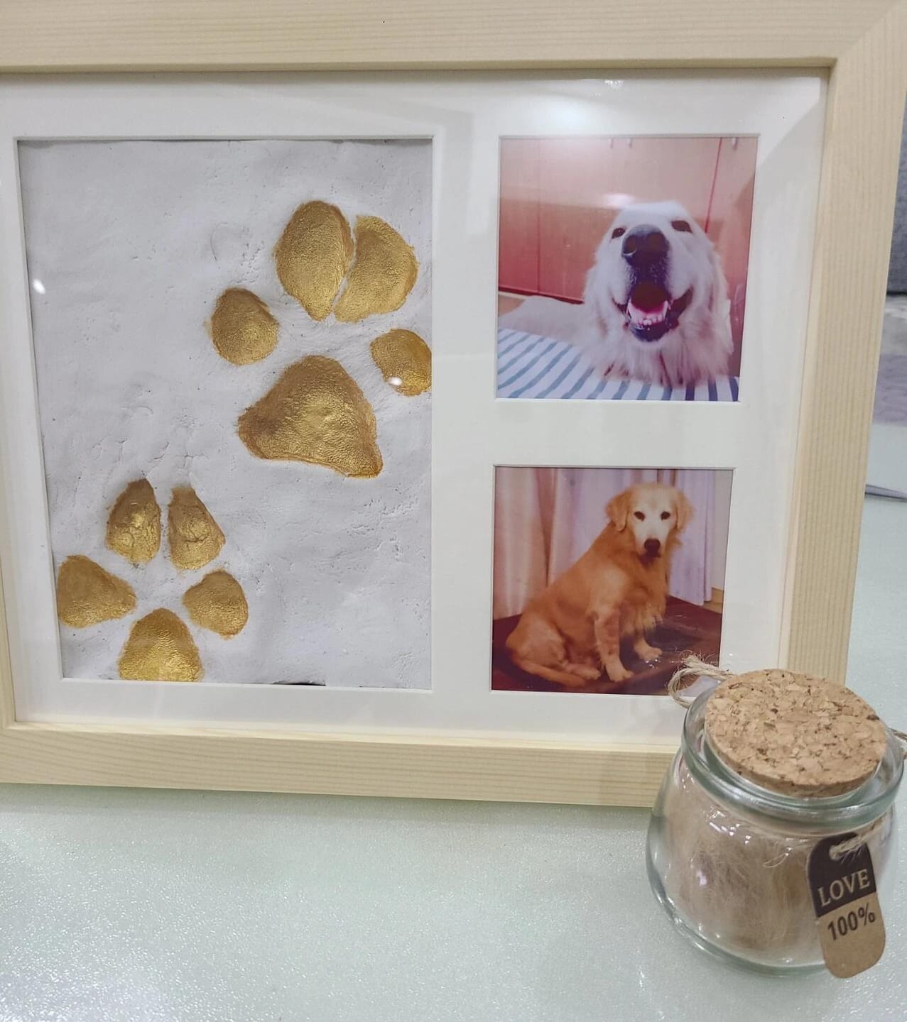 Customer photo review of Pawtique ForeverPaw™ Keepsake Kit