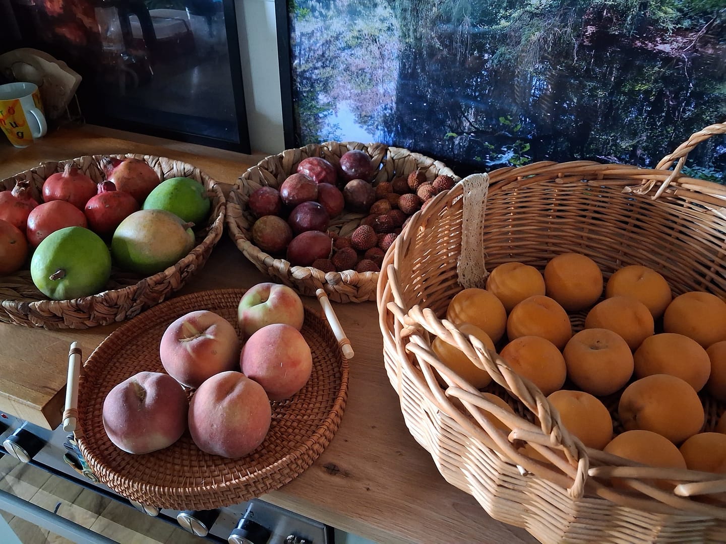Customer photo review of Litschi (Lychee) Bio von Julian