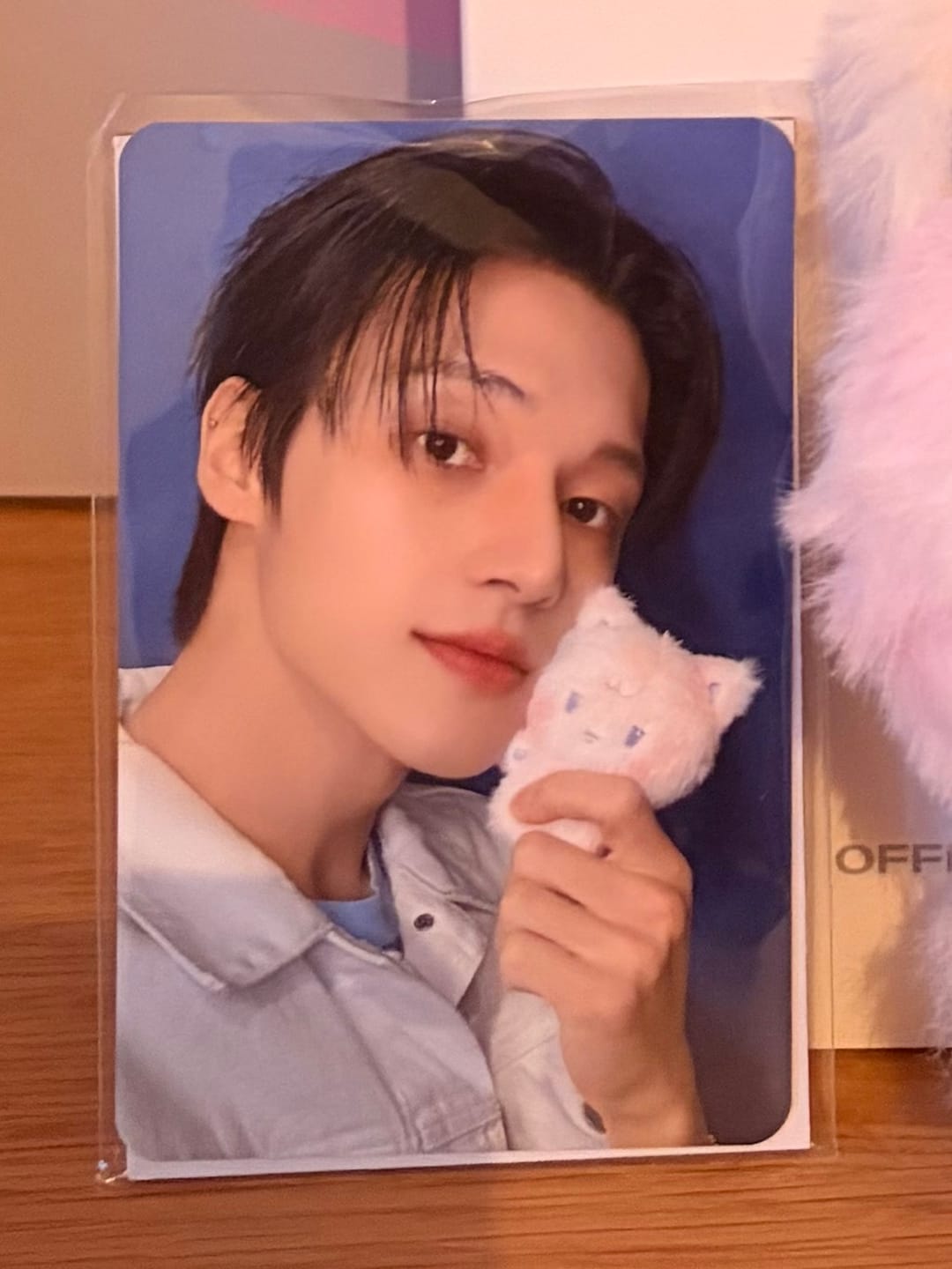 Customer photo review of [PRE-ORDER] ATEEZ - [ANITEEZ IN COLOR] COLOR MIX TINY ANITEEZ DOLL