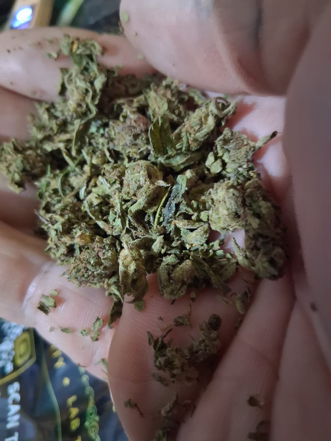 Customer photo review of Candy Gas Light Assist THCA