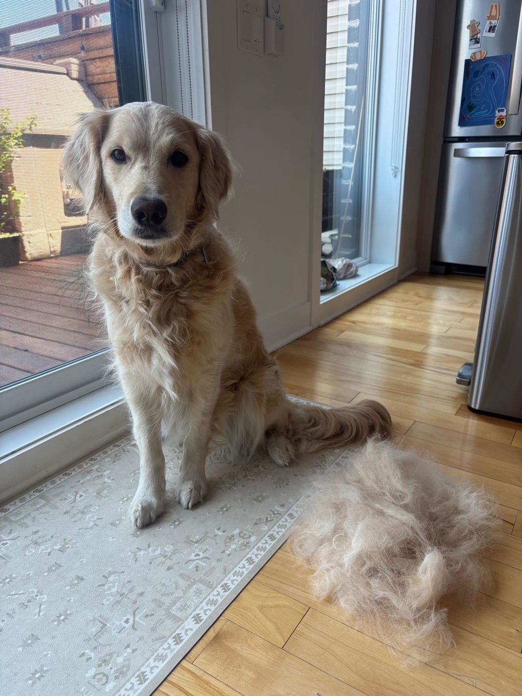 Customer photo review of Tender Puppy™ ShedPro