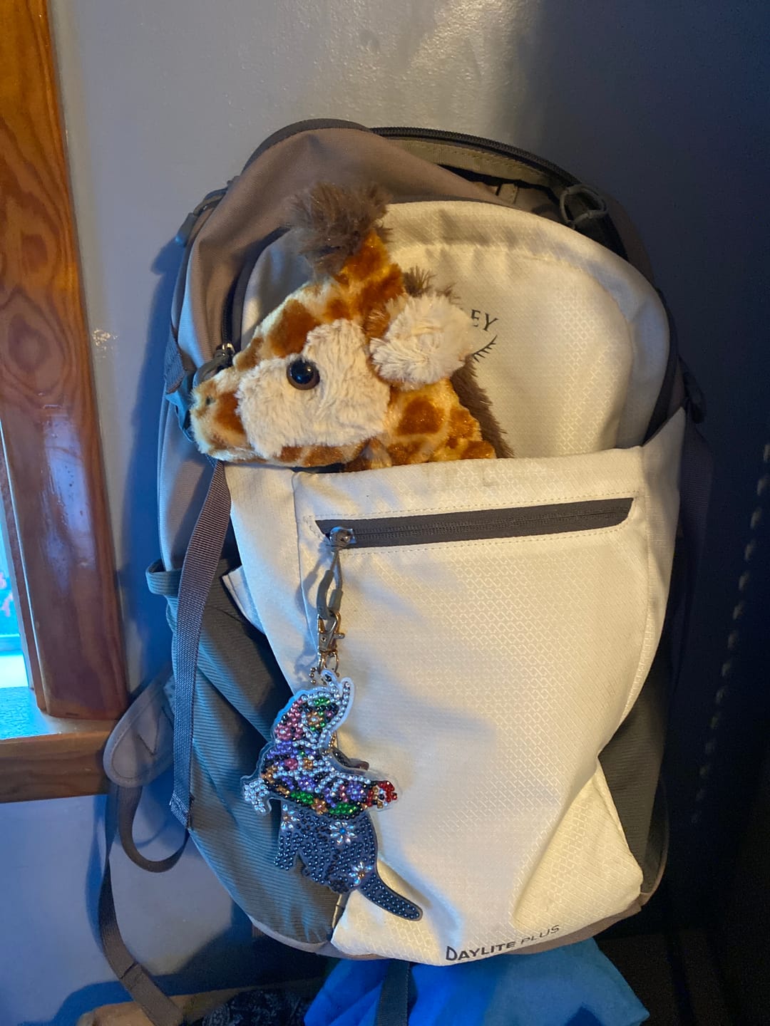 Customer photo review of The Trek Plush