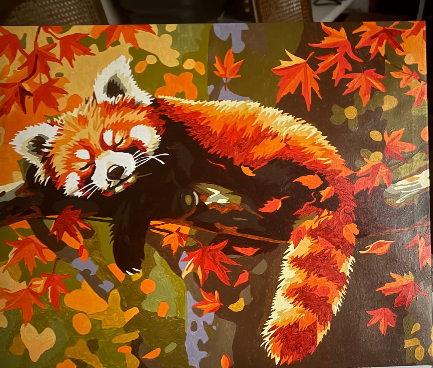 Customer photo review of Sleeping Red Panda