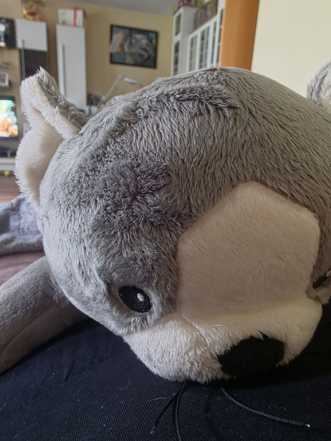 Customer photo review of Lotgenootje Kat 2kg