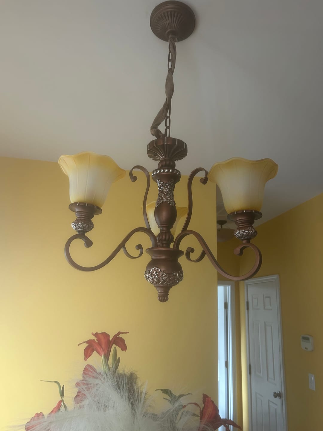 Customer photo review of Classic Dome Floral Glass Chandelier Adjustable Chain