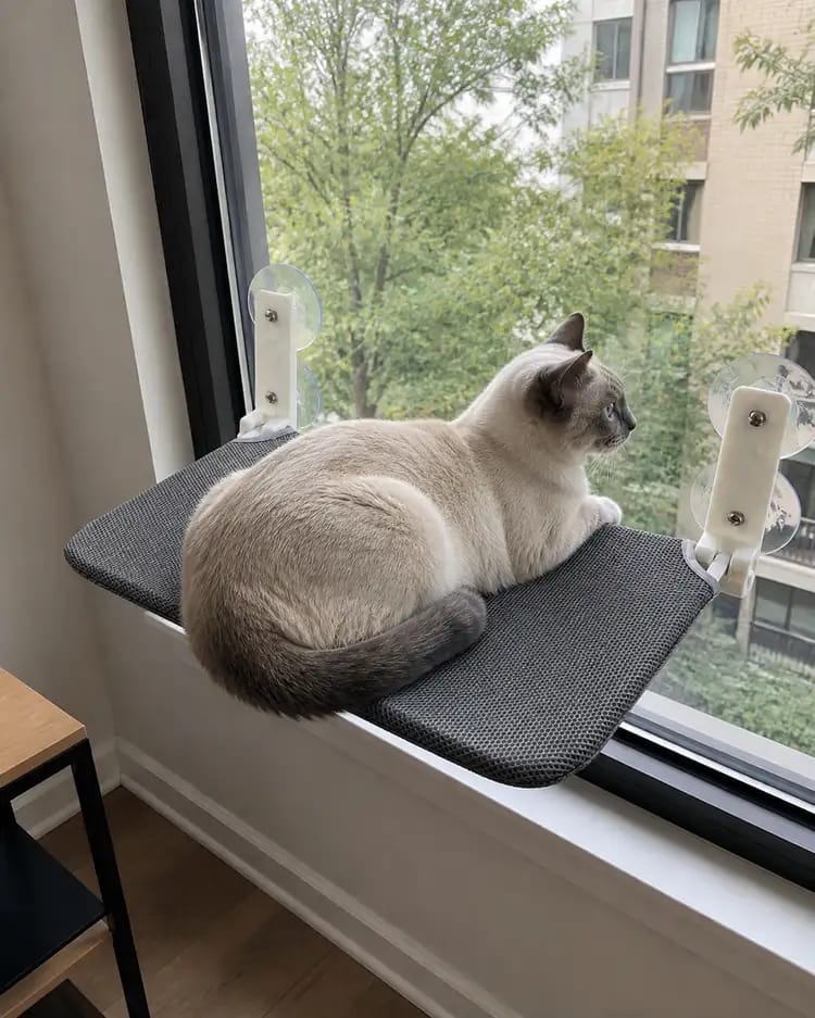Customer photo review of Secure & Stylish Cat Window Perch Hammock