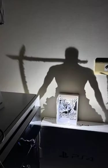 Customer photo review of Shinobu Led Lamba