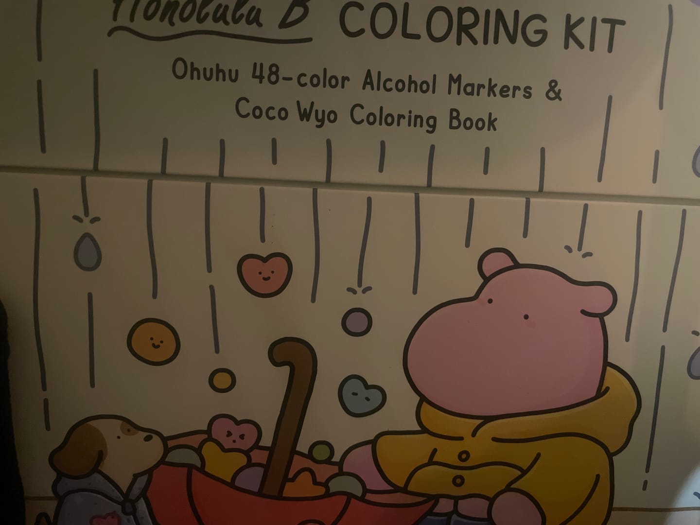 Customer photo review of Ohuhu x Coco Wyo Cozy Mood Coloring Kit, Honolulu B 48 Colors Alcohol Markers with Brush & Fine Dual Tips, Coloring Book with Mood Tracker Pages