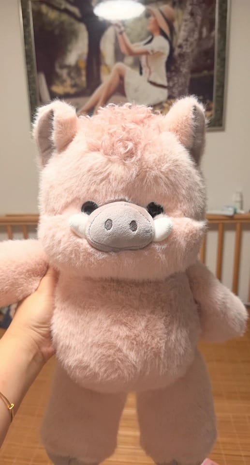 Customer photo review of Running Boar Plush Toy