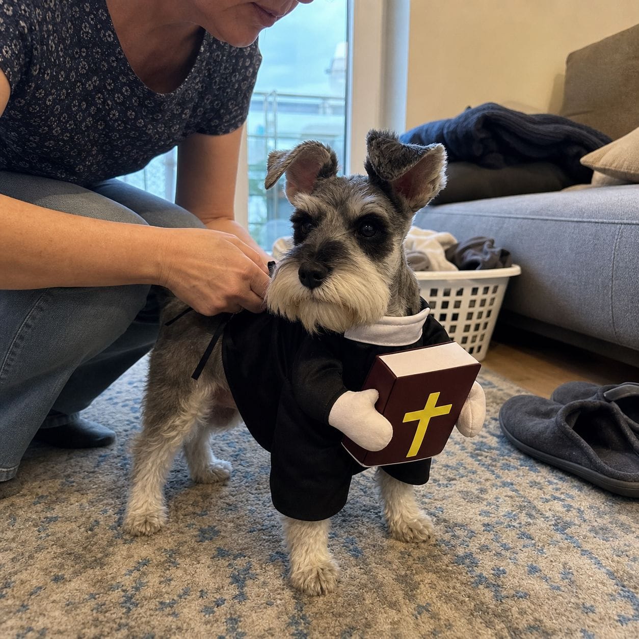Customer photo review of Blessed Pup Costume