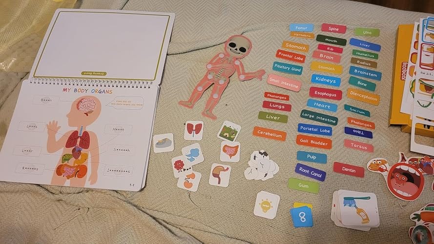 Customer photo review of Human Body Busy Book