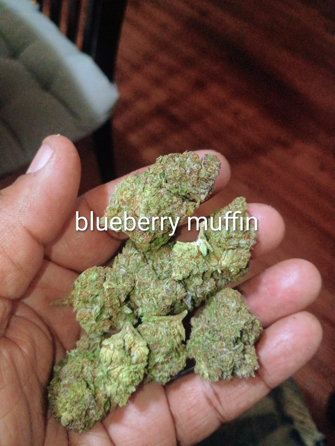 Customer photo review of Blueberry Muffin THCA Flower