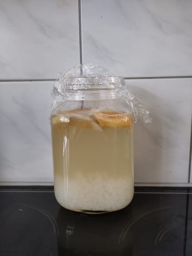 Kunde zeigt Glas mit Ginger Beer Kefir Startkultur, mit Folie bedeckt auf Arbeitsfläche
