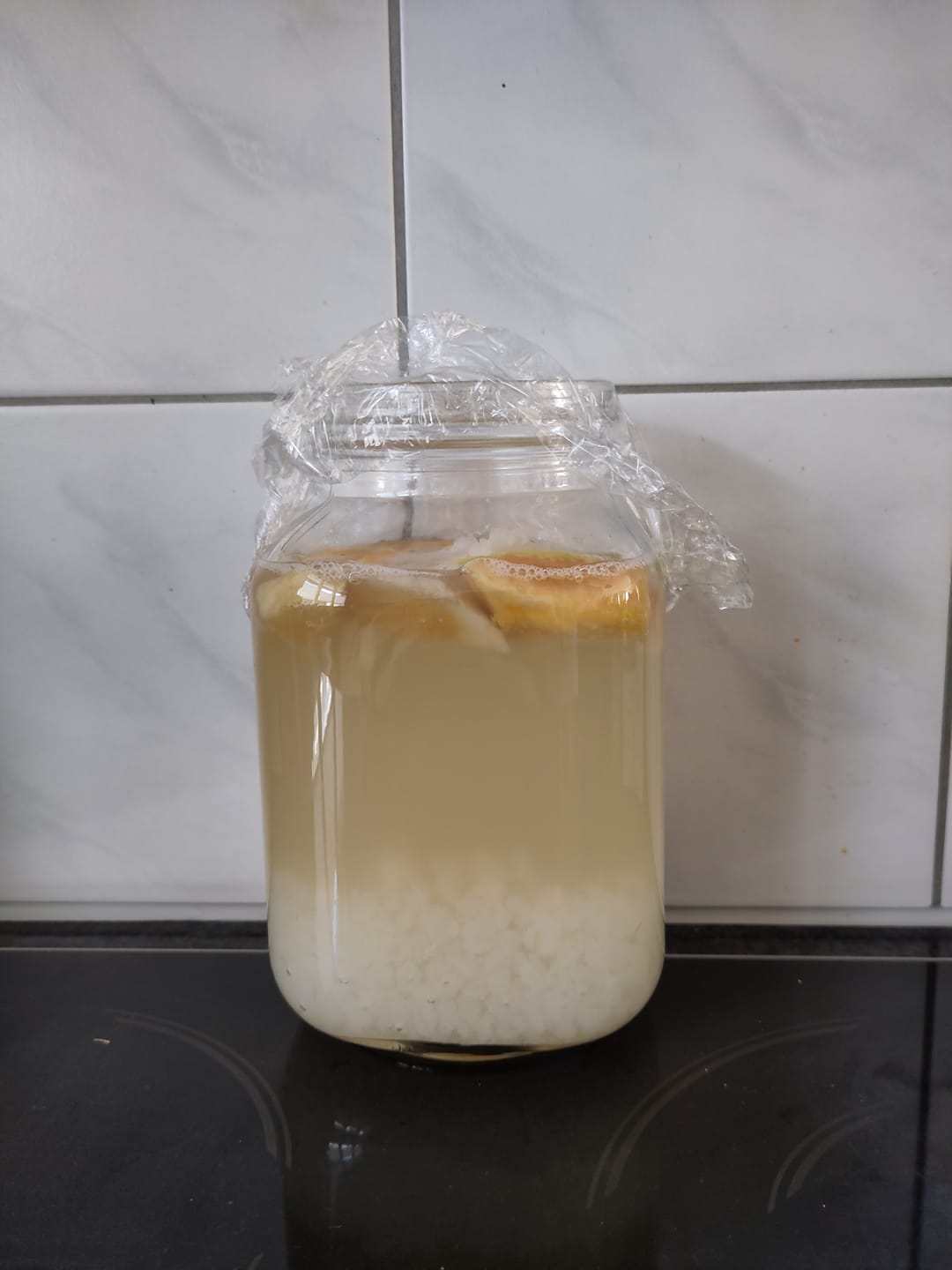 Customer photo review of Ginger Beer Kefir Startkultur (für 1 l Ansatz)