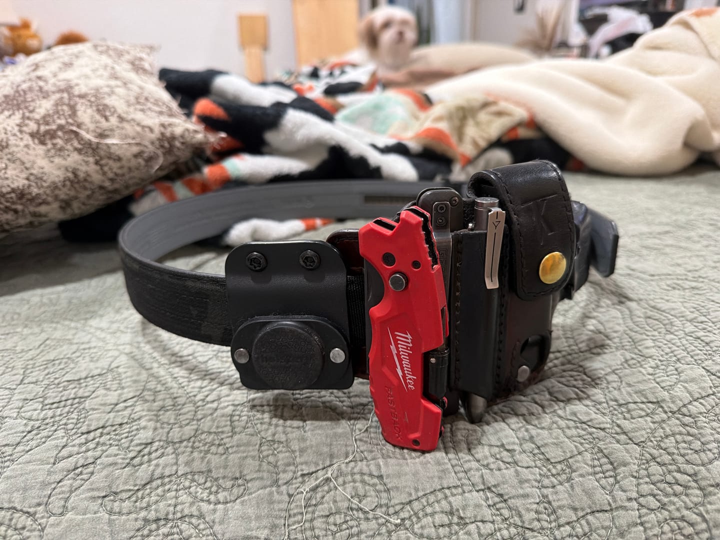 Customer photo review of Standard Belt Clip