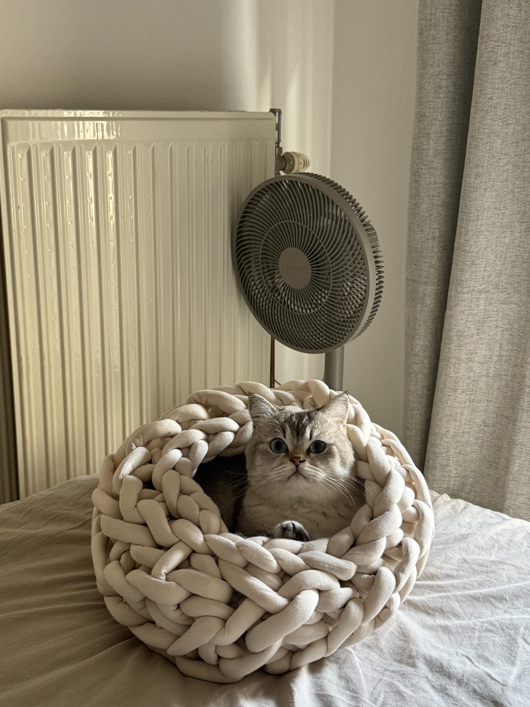 Customer photo review of THE NEST