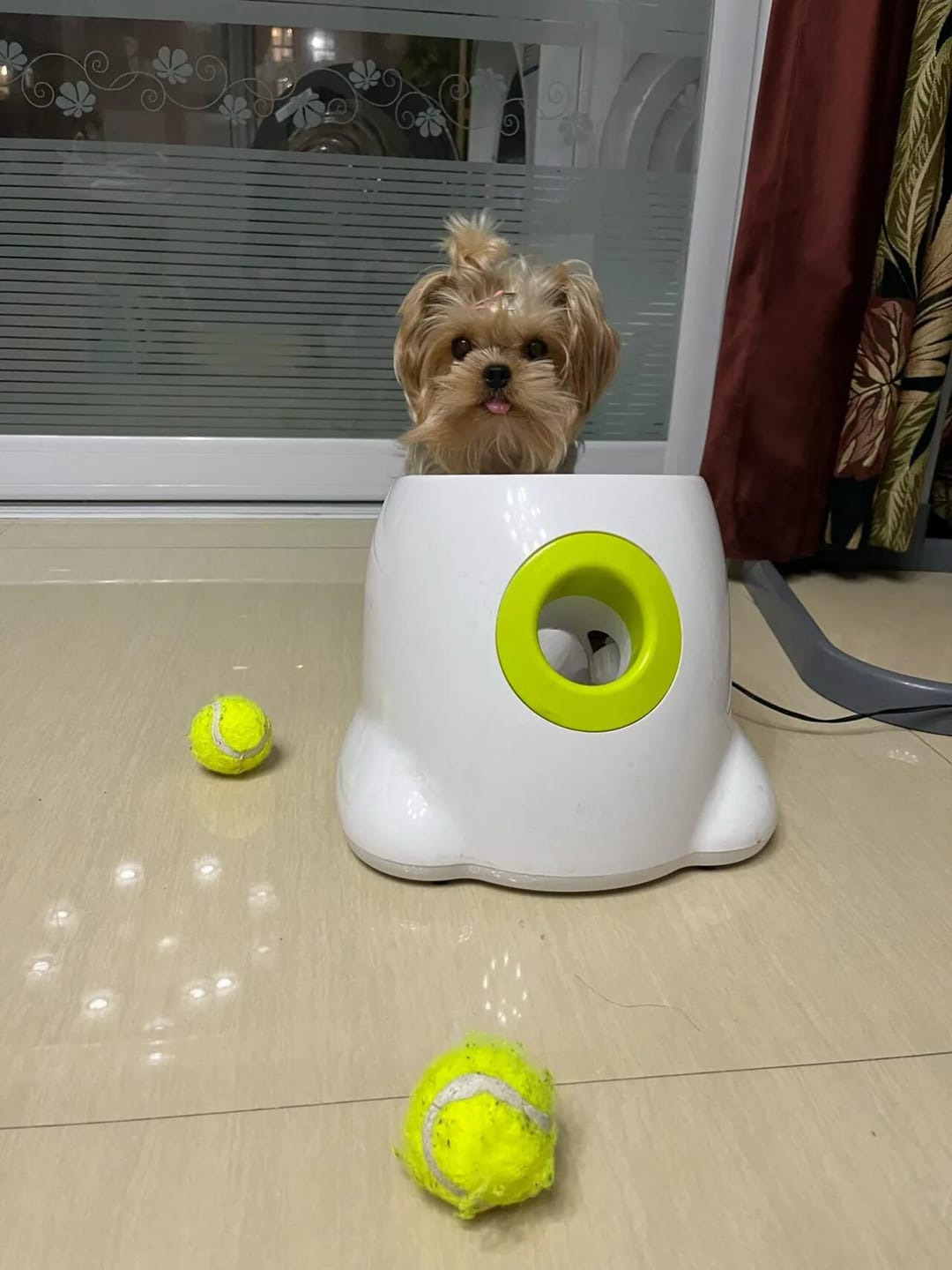 Customer photo review of Automatic Tennis Ball Launcher