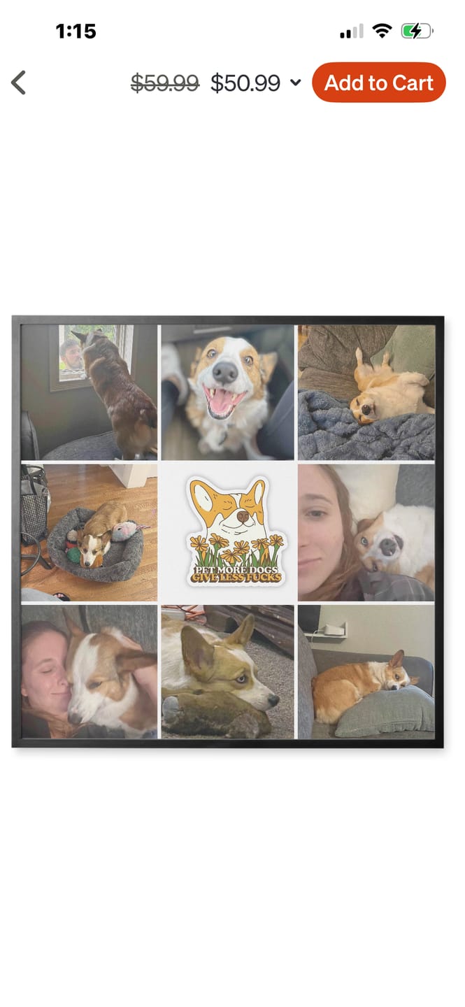 Customer photo review of "Don't fu*k with me while i'm frolicking" sticker
