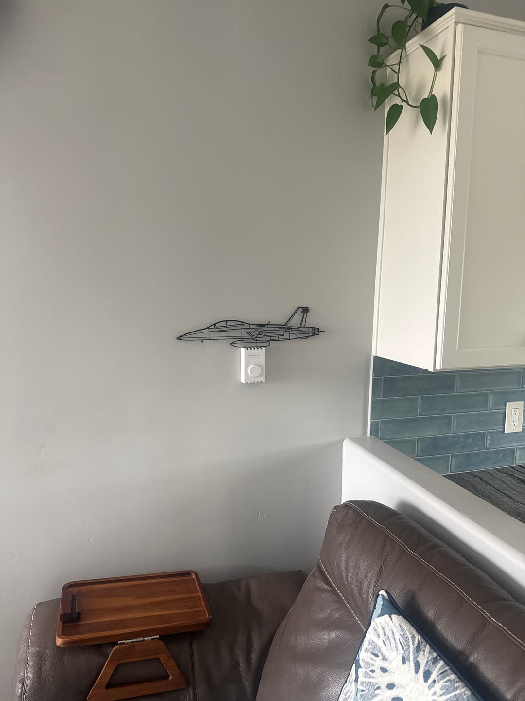 Customer photo review of F/A-18F Super Hornet Metal Aircraft Wall Art - NCP0085