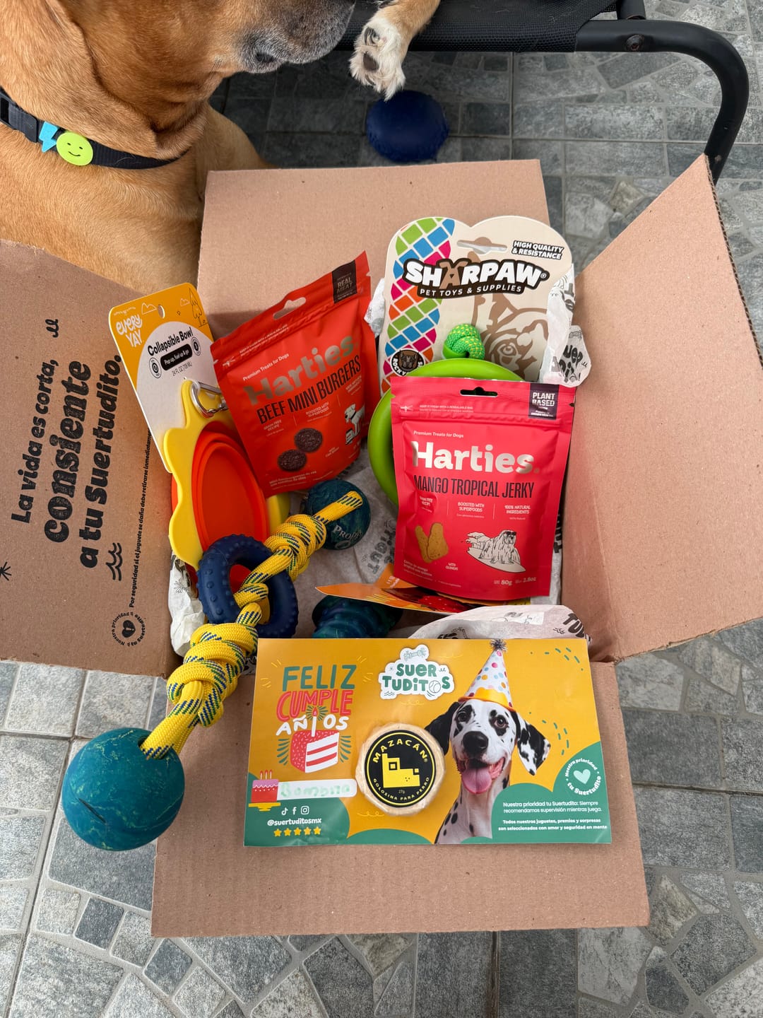 Customer photo review of Suertuditos BOX
