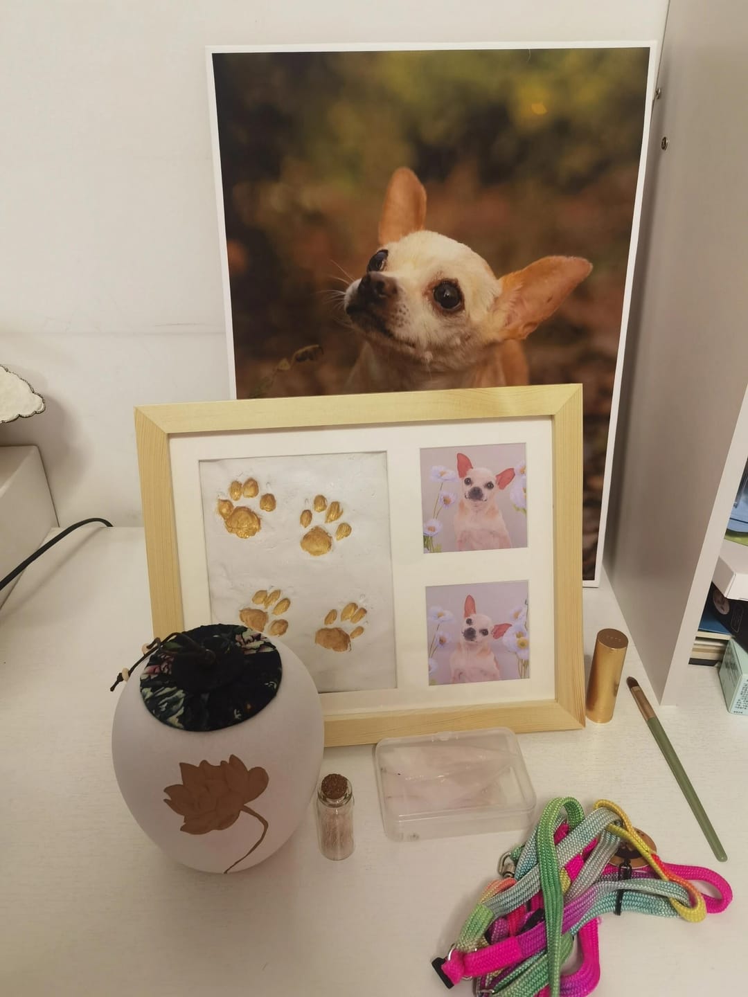 Customer photo review of Pawtique ForeverPaw™ Keepsake Kit