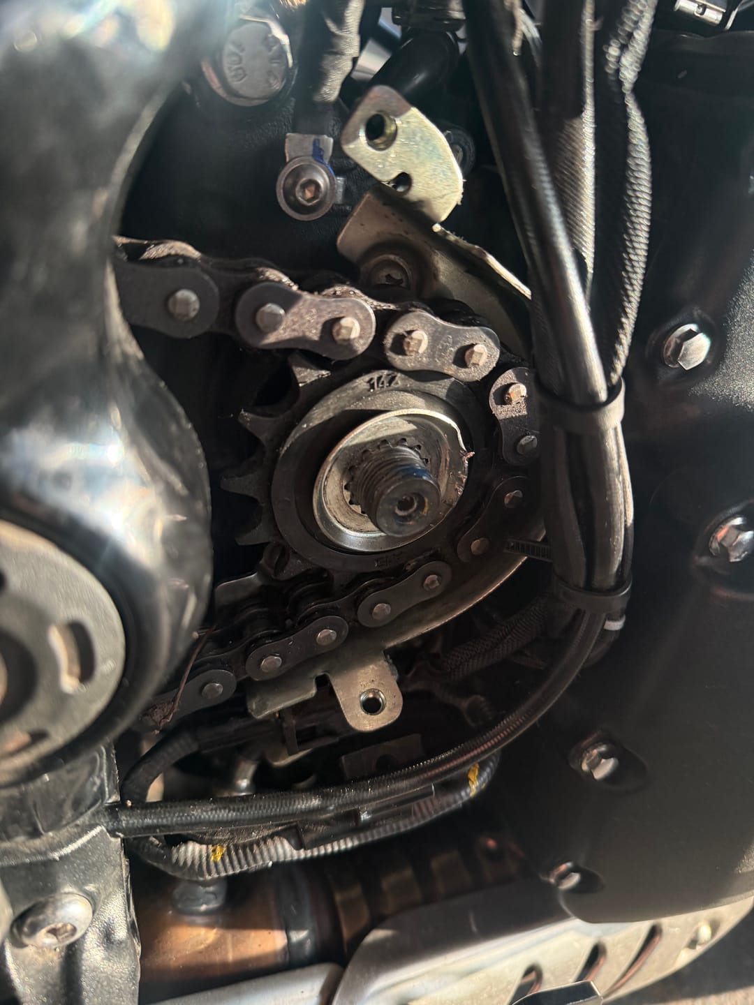 Customer photo review of Triumph Speed & Scrambler 400 - 15T Rubber Cushioned - JT Sprockets Front Sprocket