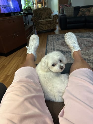 Customer photo review of Finally Walk Pain-Free Again With Our Grounding Barefoot Shoes