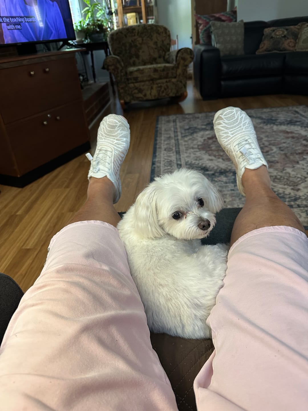 Customer photo review of Finally Walk Pain-Free Again With Our Grounding Barefoot Shoes