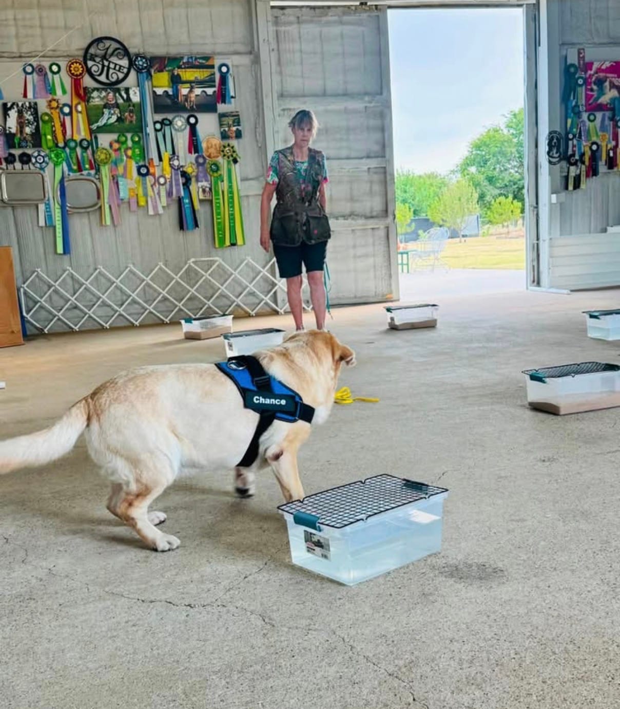 Customer photo review of Personalized Dog Harness