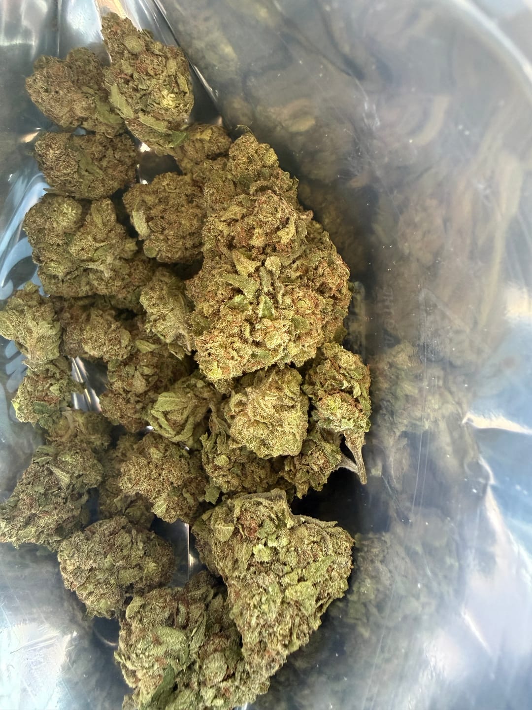 Customer photo review of Mimosa | THCA Flower