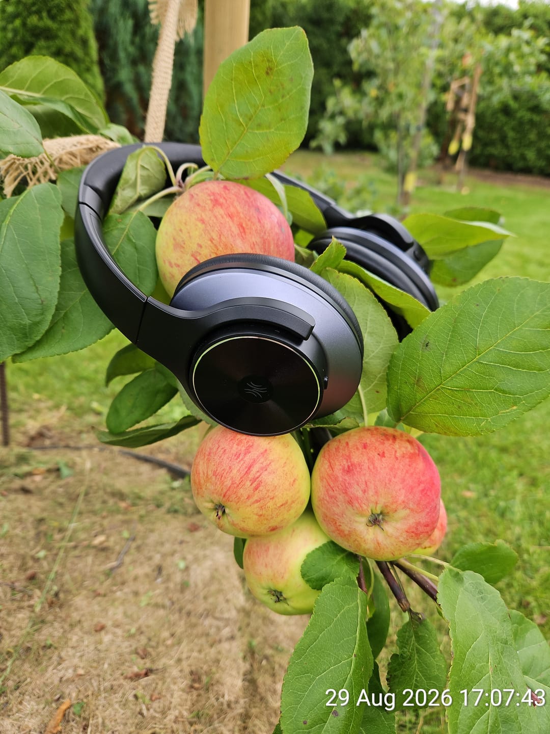 Customer photo review of Oneodio A Series - Bluetooth 5.0 Active Noise Cancelling Wireless Headphones - Built-in Microphone, Type C Charging & Carry Case - Extended 2 Year Warranty Included