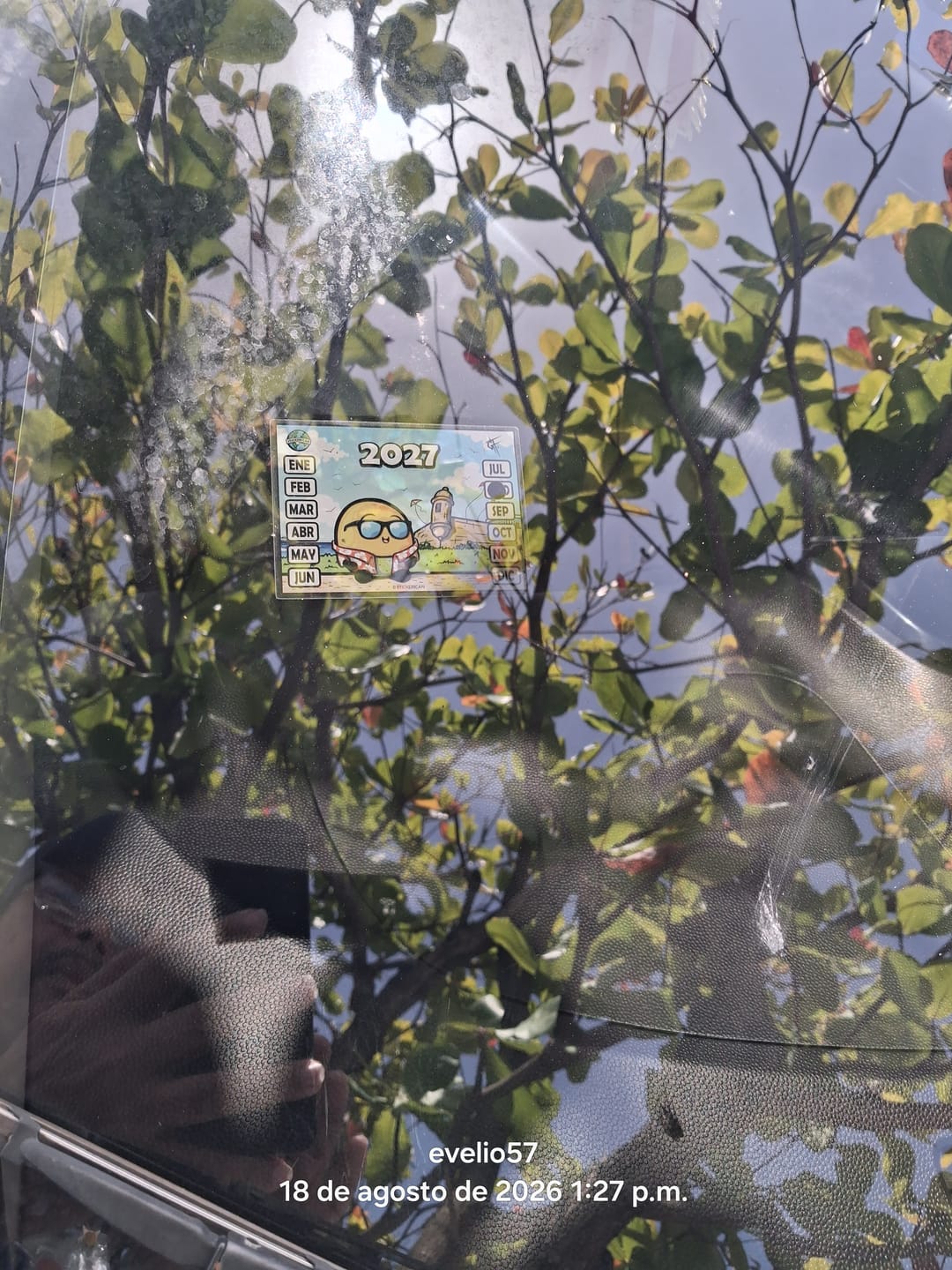 Customer photo review of Queni en el Viejo San Juan - Marbete Sticker