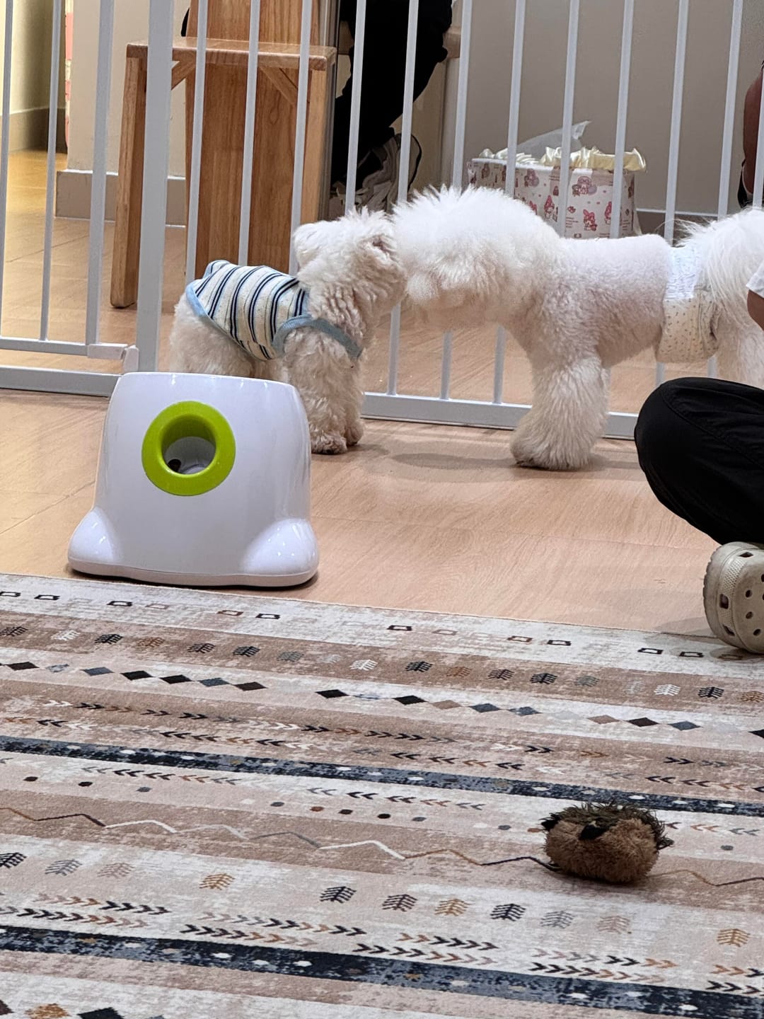 Customer photo review of Automatic Tennis Ball Launcher