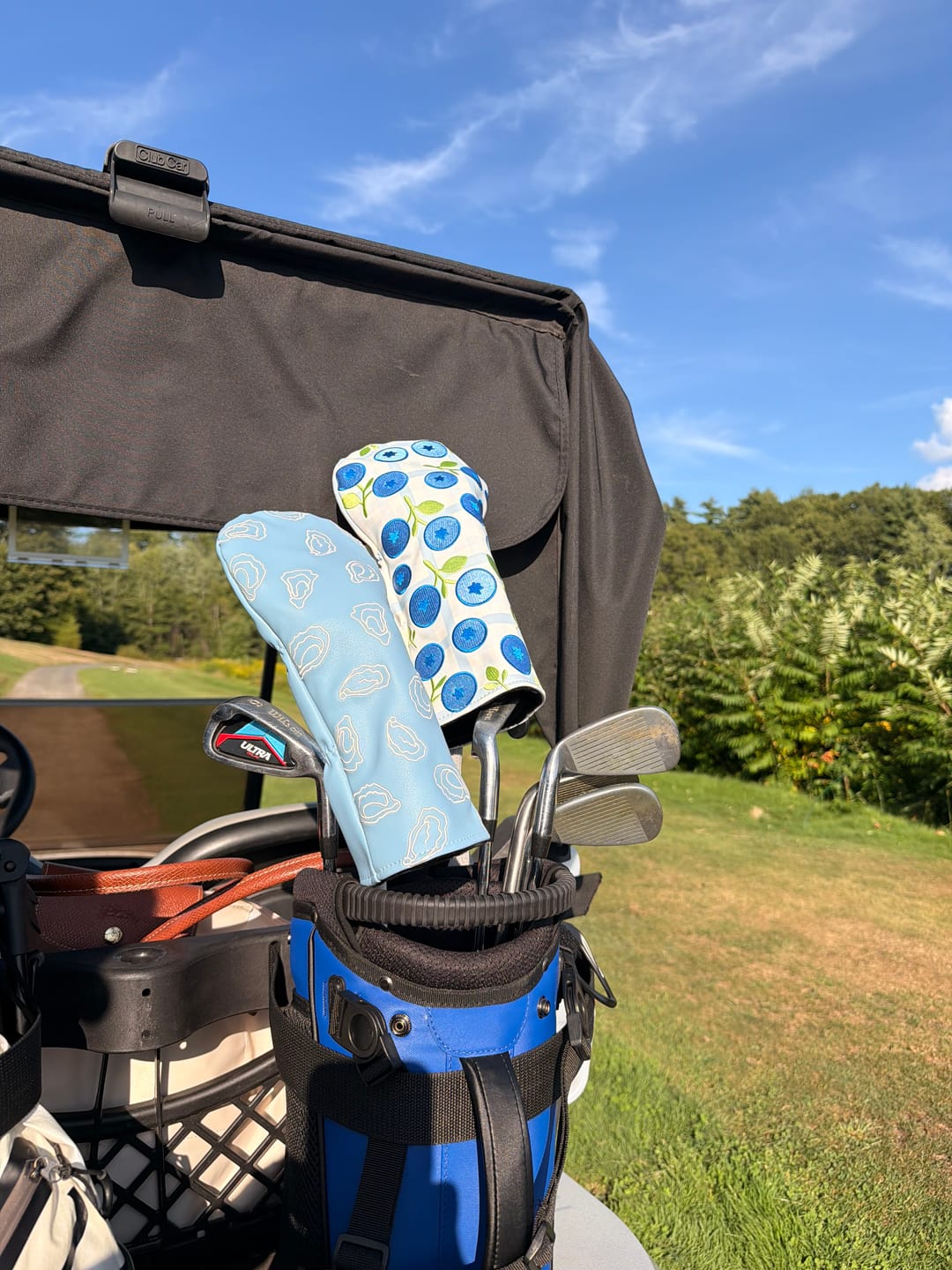 Customer photo review of Second Slice Driver Cover