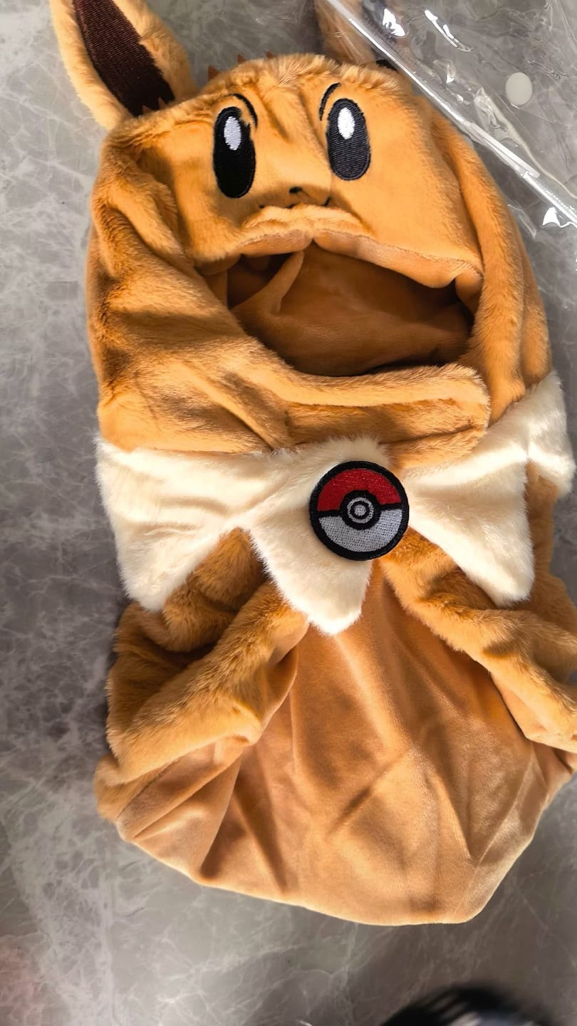 Customer photo review of Poké Pet Costume