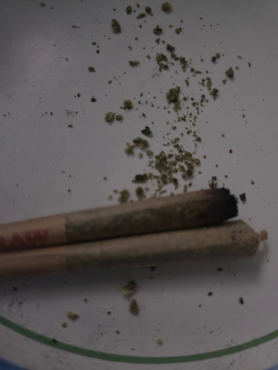 Customer photo review of Gorilla Glue THCA Flower