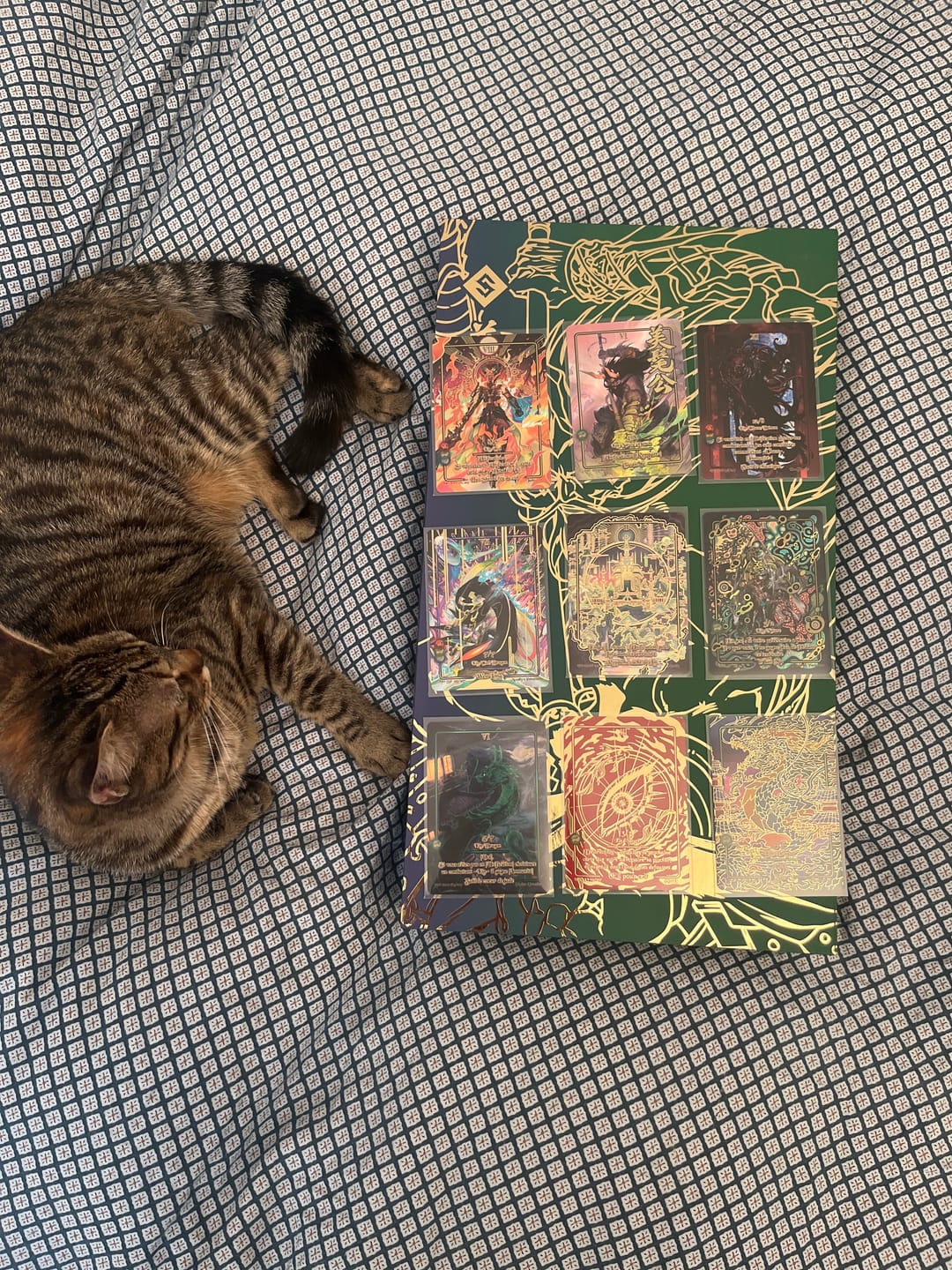 Customer photo review of Coffret Lin