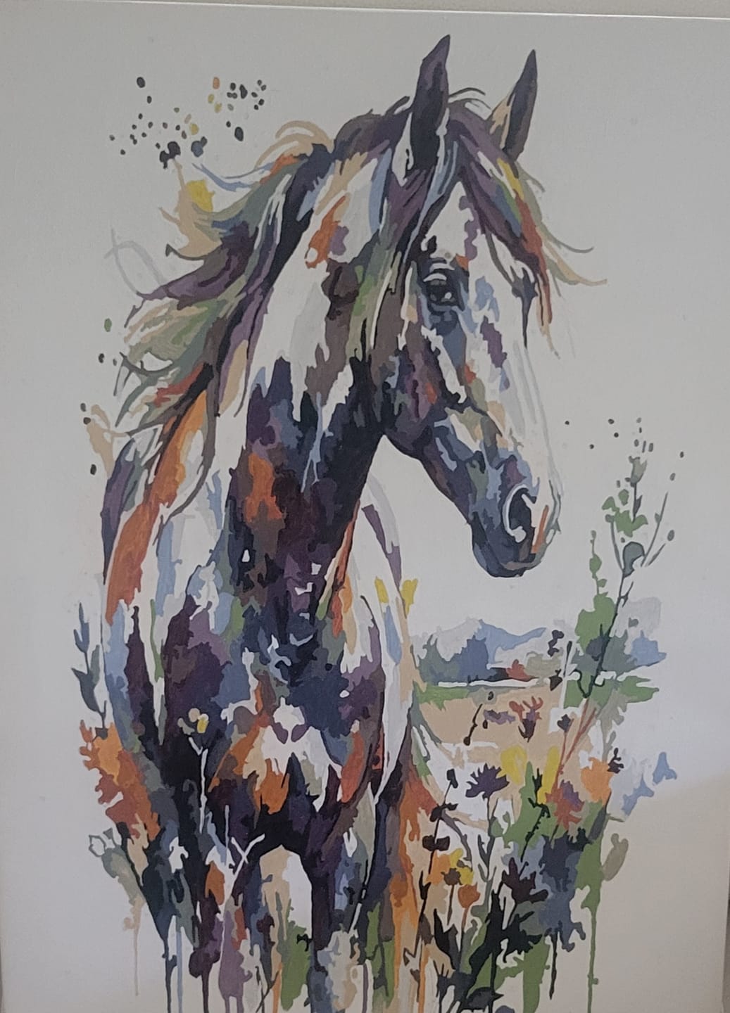Customer photo review of Wildflower Horse (Paint by Numbers)