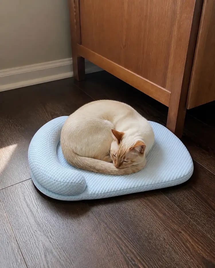 Customer photo review of Chillbuddy Oasis Cooling Pet Bed
