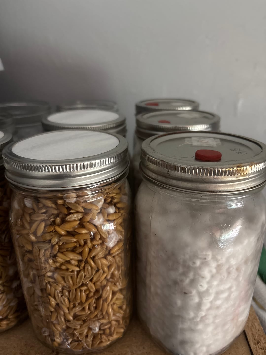 Customer photo review of Synthetic Jar Lid Filter Discs