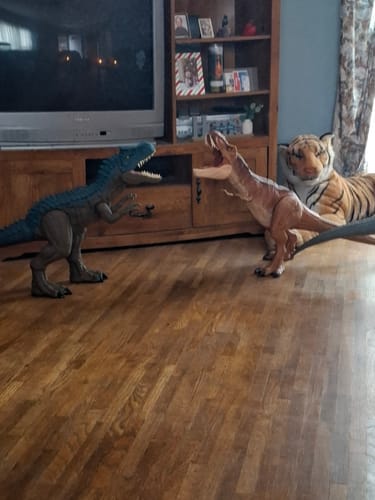 Customer's dinosaur toys playing on a hardwood floor in a living room.