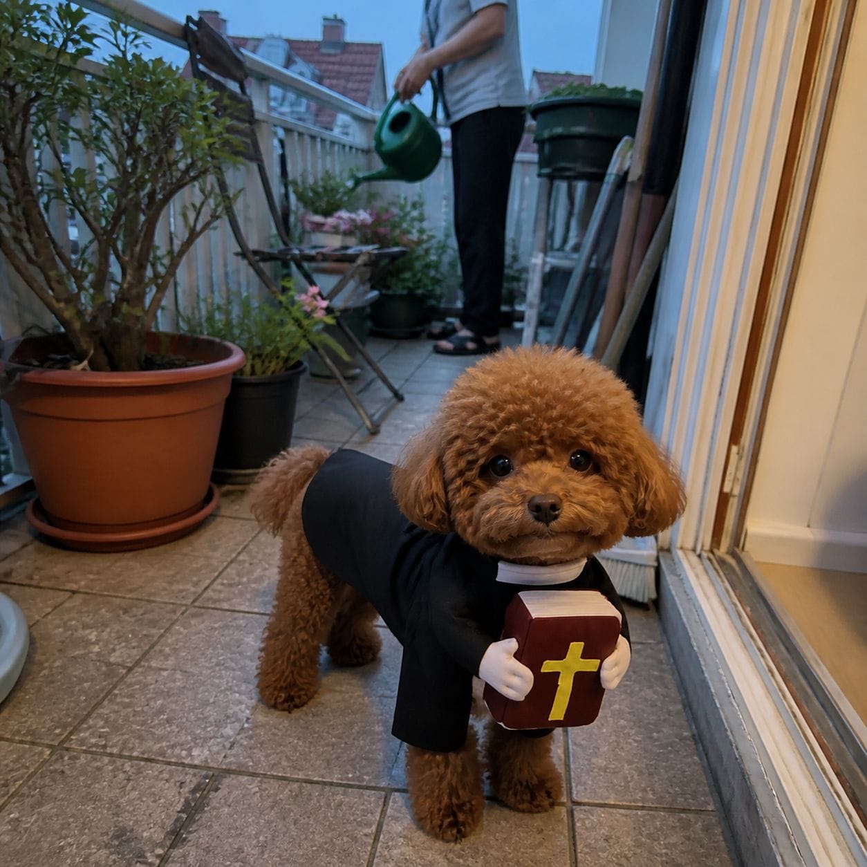 Customer photo review of Blessed Pup Costume