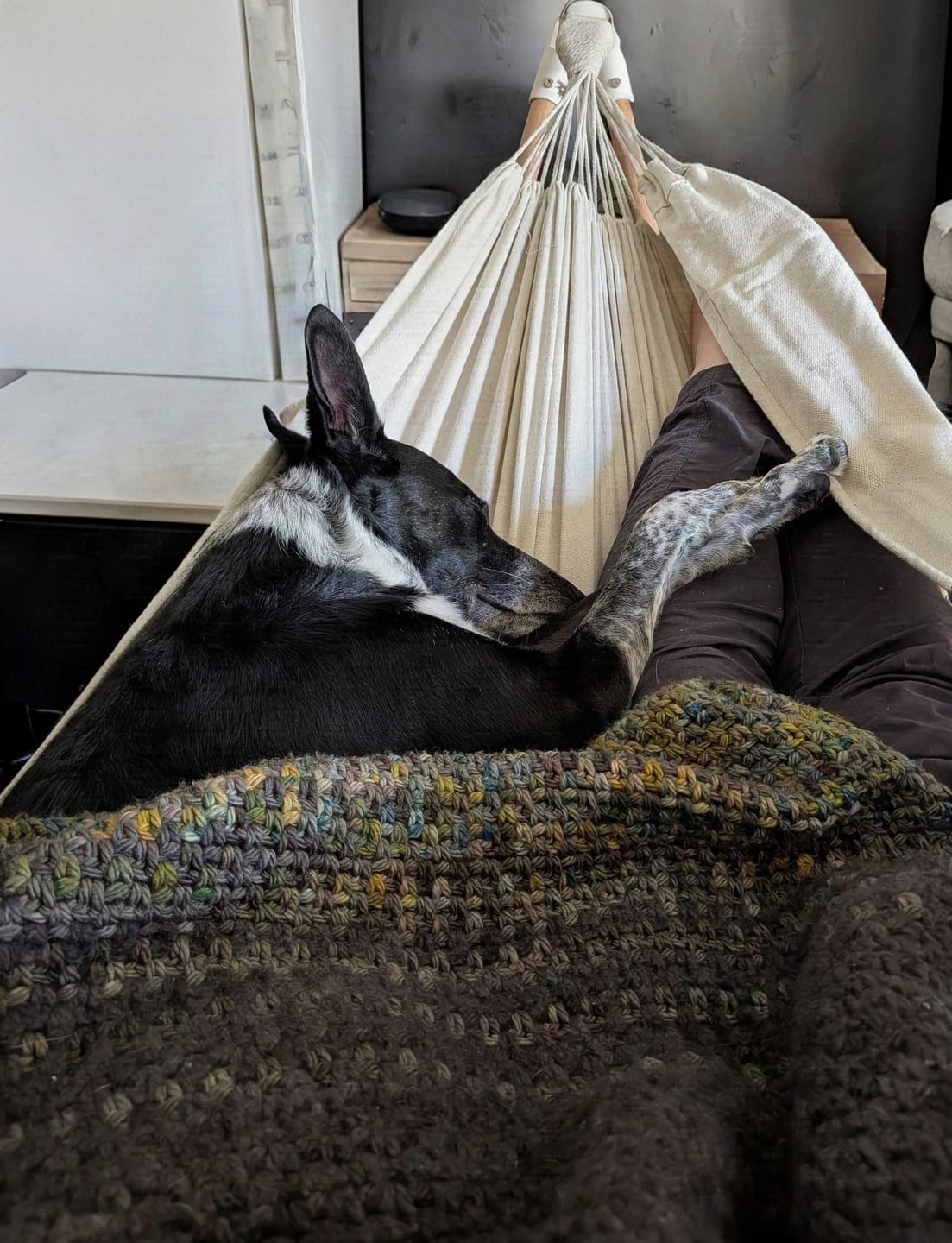 Customer photo review of The Go Hammock (Pre-sale)