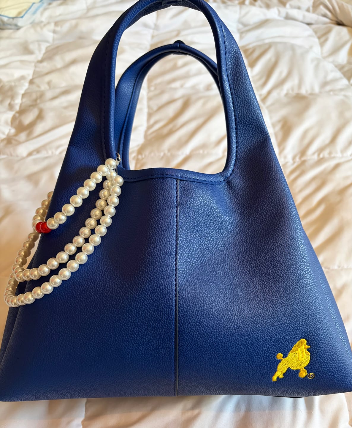 Customer photo review of SGRHO Satchel Bag