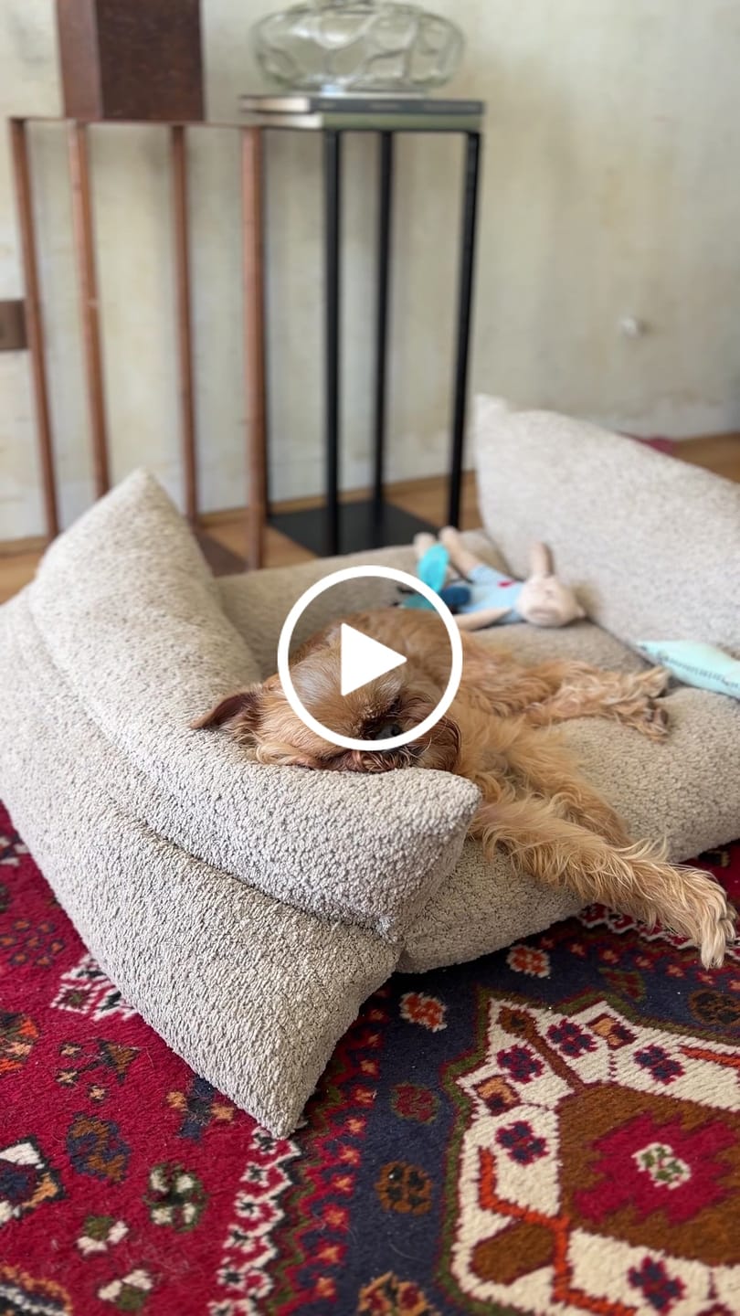 Customer video review of Cama Yoko Arena M