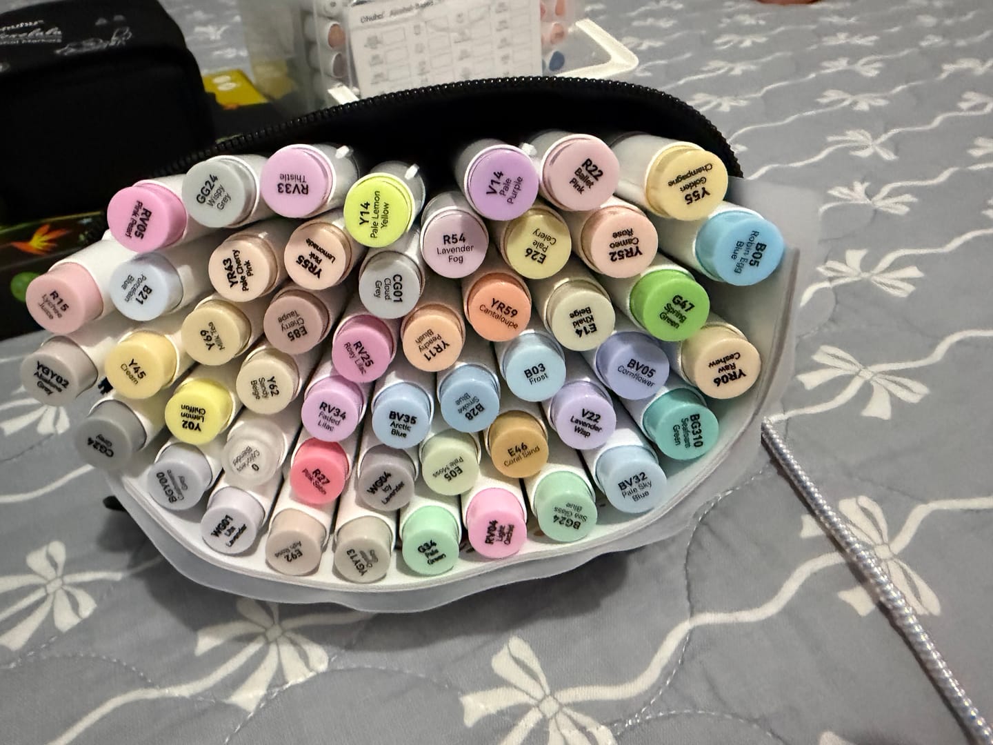 Customer photo review of Ohuhu Honolulu 48 Pastel Colors Dual Tips Alcohol Art Markers-Sweetness (New Color Codes)