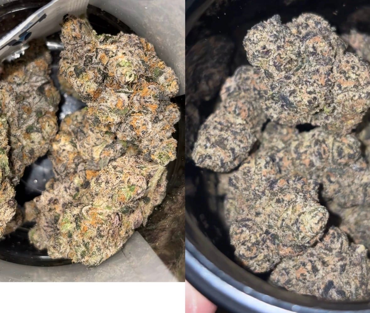 Customer photo review of Toad Venom