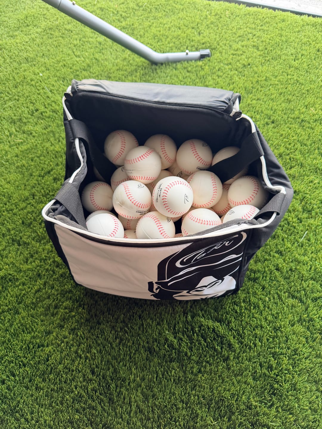 Customer photo review of Tater® Kong Ball Bag - 5 Dozen