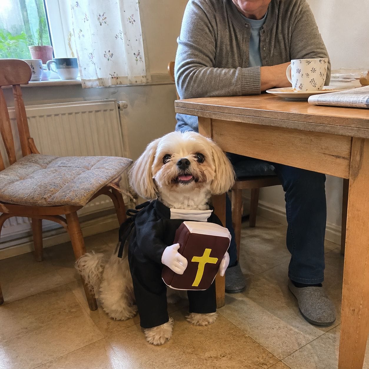 Customer photo review of Blessed Pup Costume