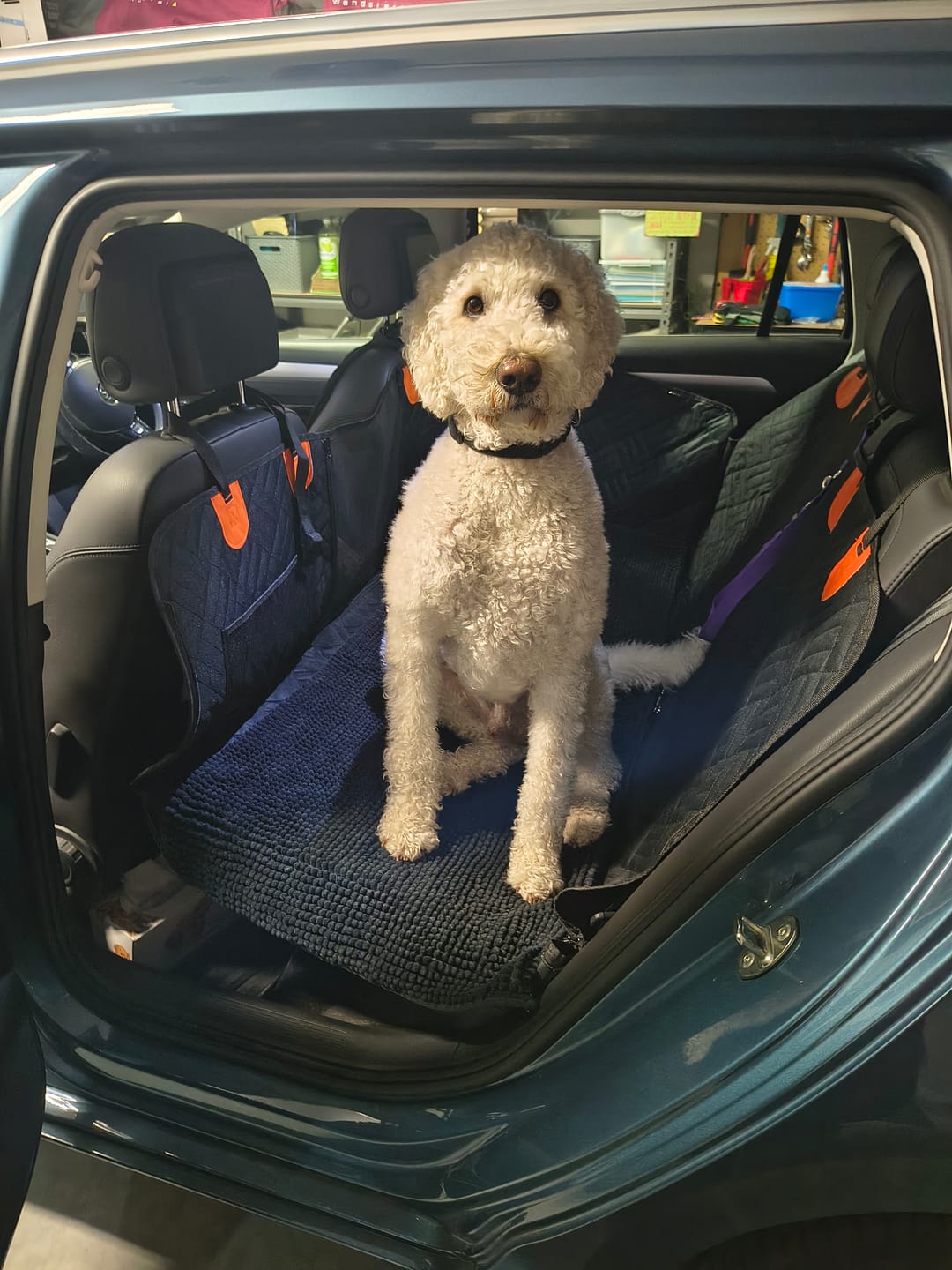 Customer photo review of 🐶Paw Protect - Hard Bottom Full Seat Cover